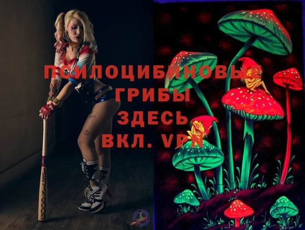 первитин Бородино