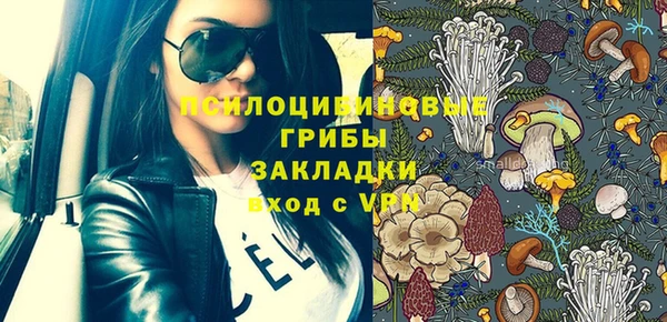 МДПВ Бугульма
