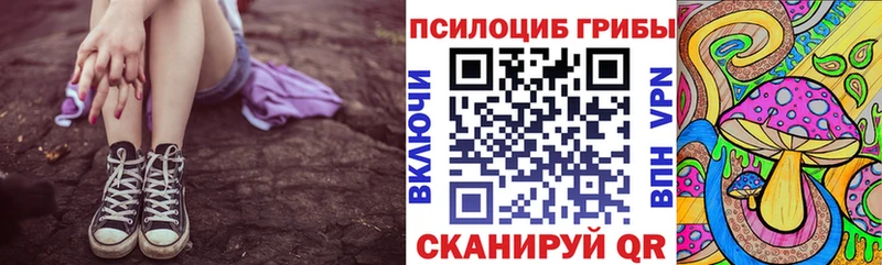 Псилоцибиновые грибы Cubensis  Кемерово 